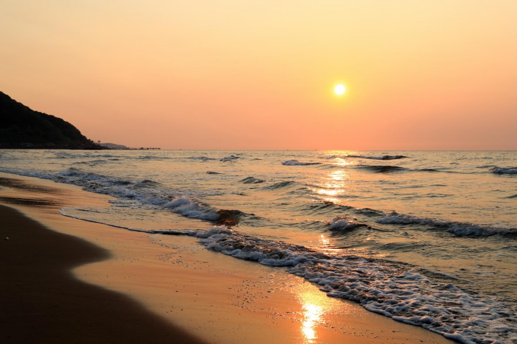 (仮)与亲鸾圣人相关的旅程